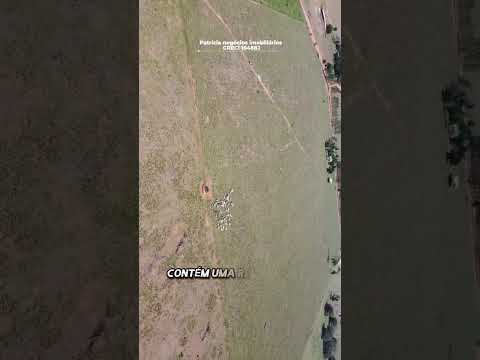 Fazenda a Venda na Cidade de Brasnorte-MT #fazenda #agro #vidanomato #roça