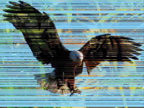 Wild life - Paul McCartney