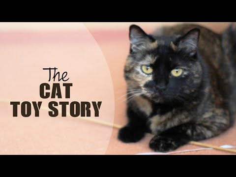 DIY: Cat Toy Story - How to make a cat happy