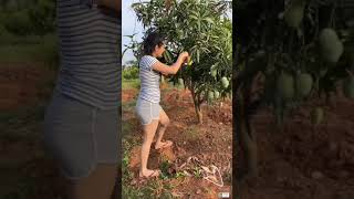 ashika ranganath WhatsApp status video