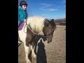 1/9/2021 Dakota has been breathing hard, this is normal breathing with exercise for comparison