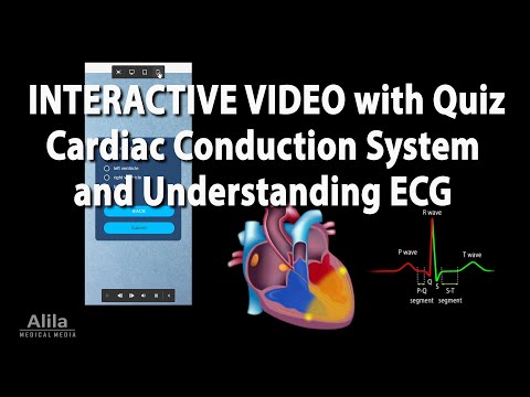 Cardiovascular System Overview Animation