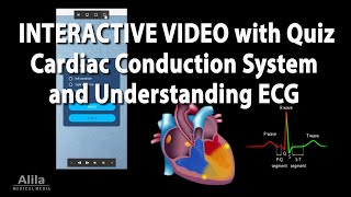 NEW! INTERACTIVE VIDEO: Cardiac Conduction System and Understanding ECG (EKG)