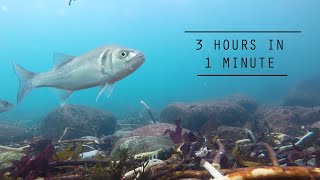 Awesome Ocean Timelapse - GoPro 4K