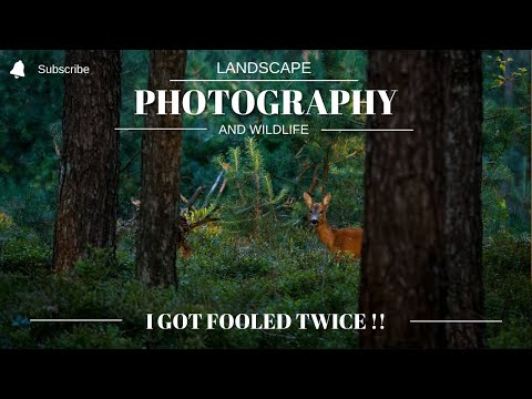 I got FOOLED Twice! Landscape Photography in the NETHERLANDS is Hard Work! OM System OM-1 # 025