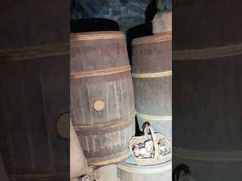 Original MIDDLE AGES? Mauterndorf Castle Tower Pantry #castles