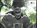 Da Bush Babees Swing It