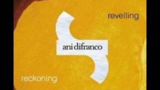 Ani DiFranco - Your Next Bold Move