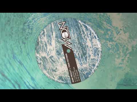 Adam Prescott & Tenor Youthman - Put Down The Gun