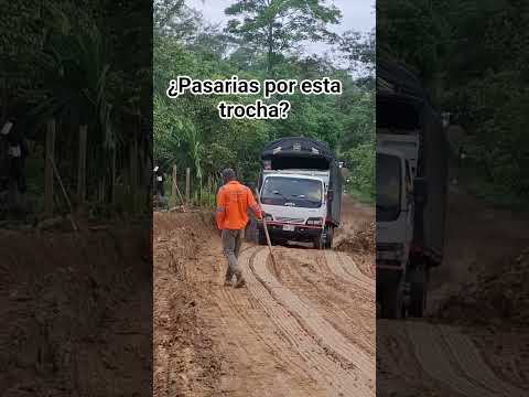 Via: San Pedro de Uraba - Valencia  Córdoba.¿  Pasarías por esta trocha?💪🚛