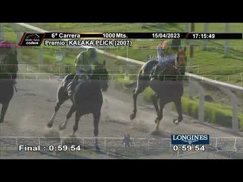 230415 c06 MAN CAMPEIRA