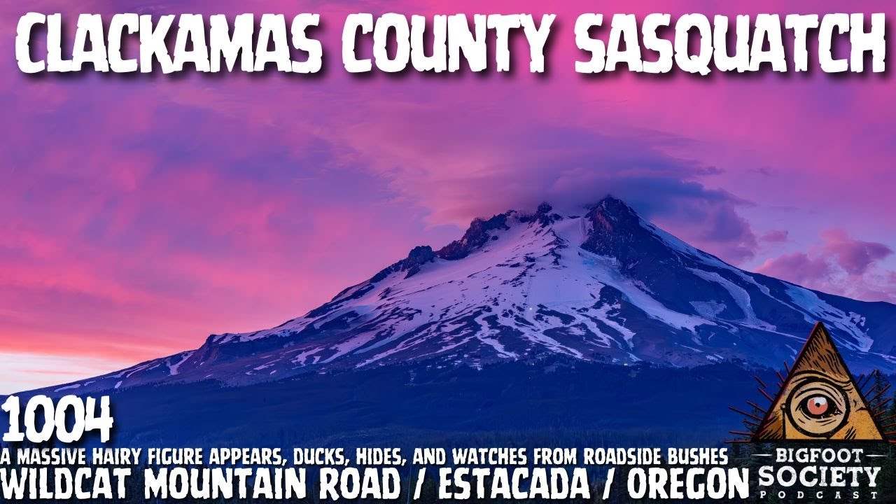 Driver Encounters Hairy Figure on Wildcat Mountain Road in Estacada, Oregon and Freezes | Archives