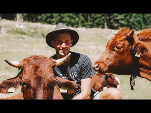 Barbianer Hornochs - Crowdfunding Südtirol