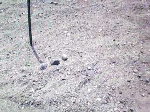 Norden finden mit Hilfe der Sonne