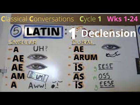image-What is the Latin root of cycle?