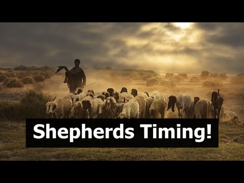 , title : 'Shepherds Timing!'