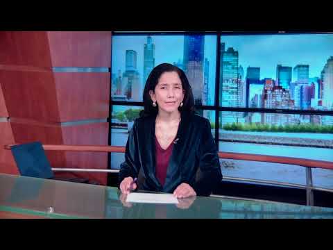 Lauren Fix Car Coach