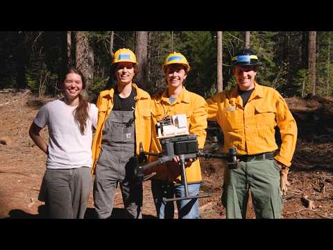 スタンフォード大学の研究者、山火事の煙に含まれる隠れた金属を追跡 (Stanford researchers track hidden metals in wildfire smoke)