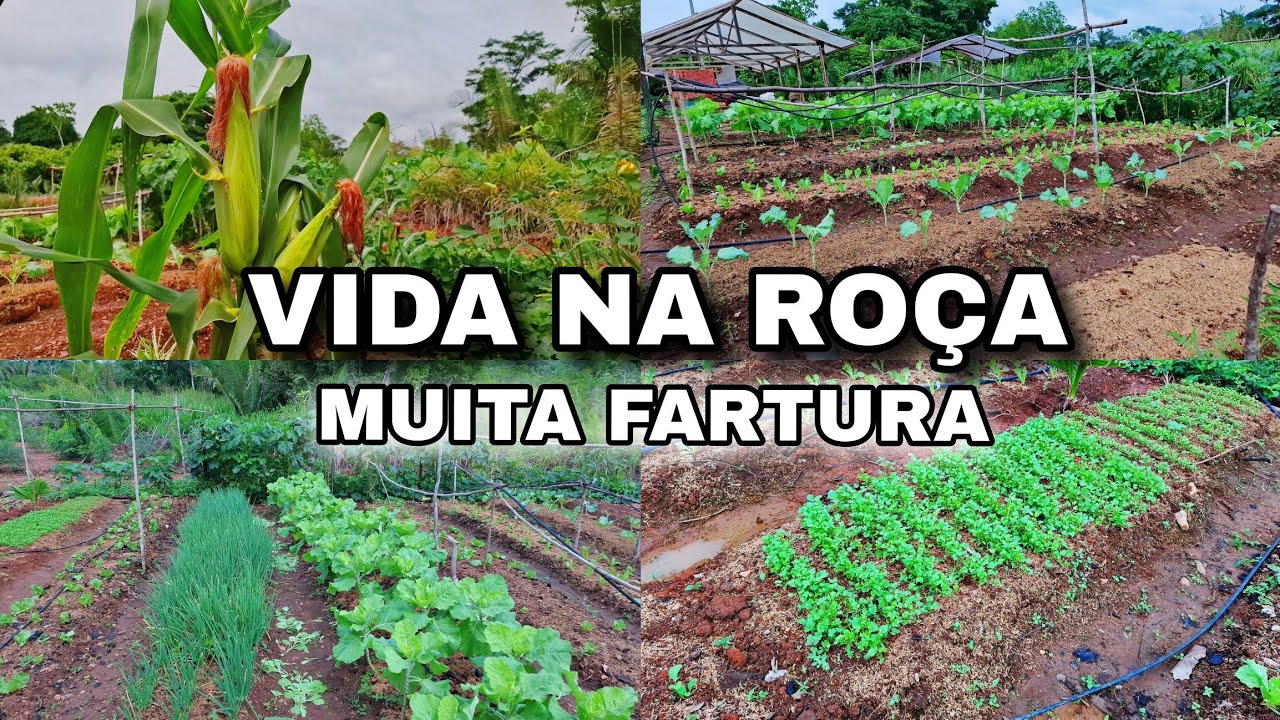 RECONPENSA DE MUITO TRABALHO// CADA DIA ELA FICA MAIS BONITA 😍