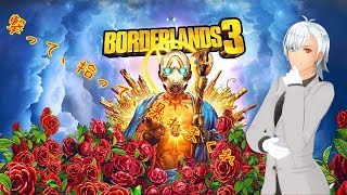 ボーダーランズ3やるんやよ！