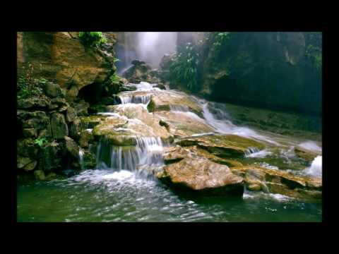 #14 Ep. Galateni 5:22-26, Roada Duhului Sfânt (3)