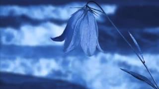 Download lagu Kau Dan Aku     Atiek CB ft  Roni Siantury mp3