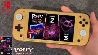Vidéo Poppy Playtime Triple Pack