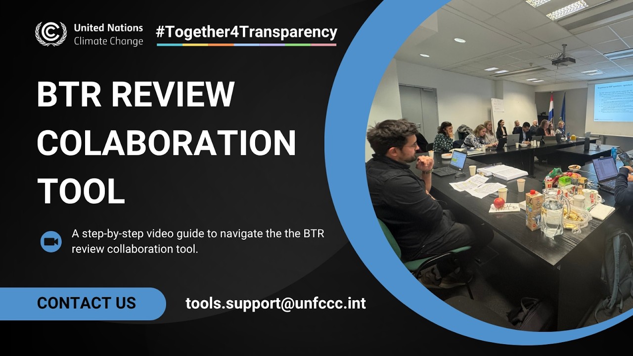 Navigating the BTR Review Collaboration Tool