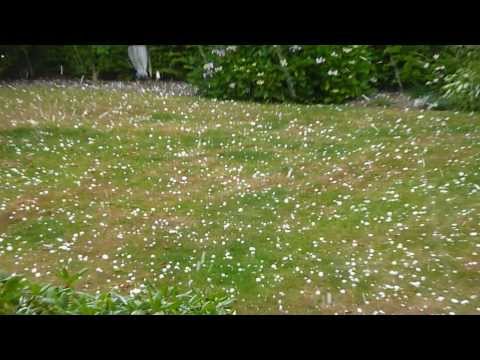 HAGEL - STARKER HAGELSCHLAG AM 27.07.2013 IN ABBENSEN KREIS PEINE (1. TEIL) H. A. L.