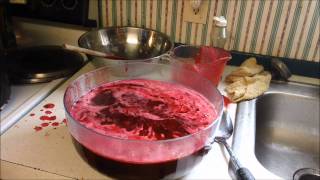 Canning Cranberries 4 Ways Jellied and Whole