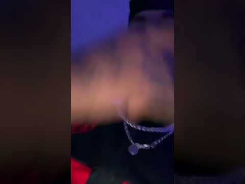 Freestyle bluay 40tena