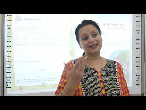 The Wild Wolf and the Pet Dog