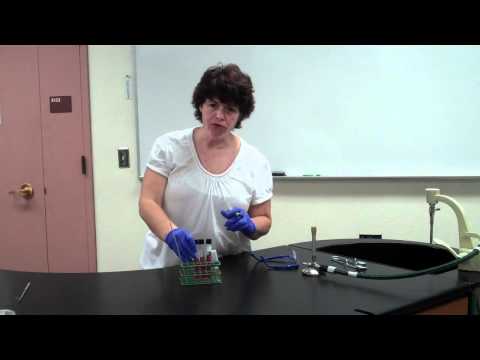 Carbohydrate Fermentation