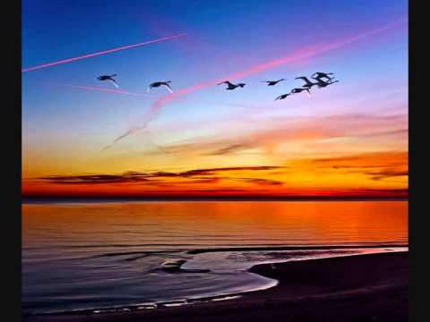 Lina iš grupės VIDURNAKTIS - Vakaro tyla.