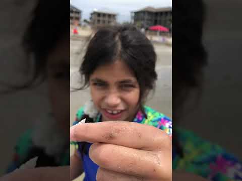 galveston Beach trip 2021