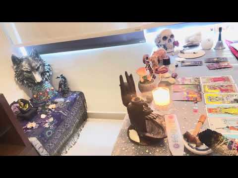 🐞 From Burdens to Blessings ✨