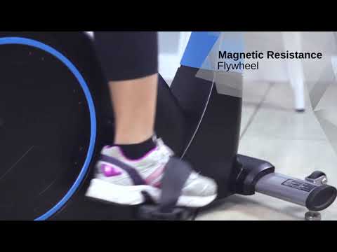 Lifespan Fitness EXER 80 Exercise Bike