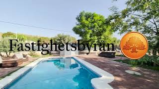 Digital Viewing in Elche - CD4948