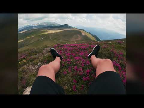 Bucegi natural park - rhododendron period GoPro hero7