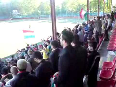 Dalkurd FF Fans Firar segern över Råsunda på Skytteholm!