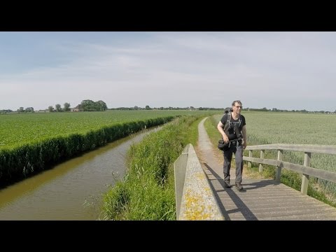 Northern Holland - Walkin' the Countryside near Uithuizen [June 28, 2015]