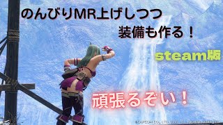 【MHRize:S】寝る前に少しMR上げ＆装備作り　お手伝い募集中【steam版】