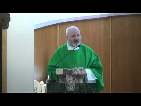 Holy Mass - July 19, 2026