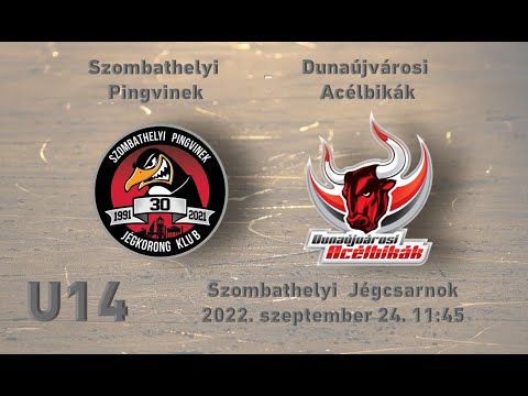 U14 79  Szombathelyi Pingvinek -  Dunaújvárosi Acélbikák (élő közvetítés)