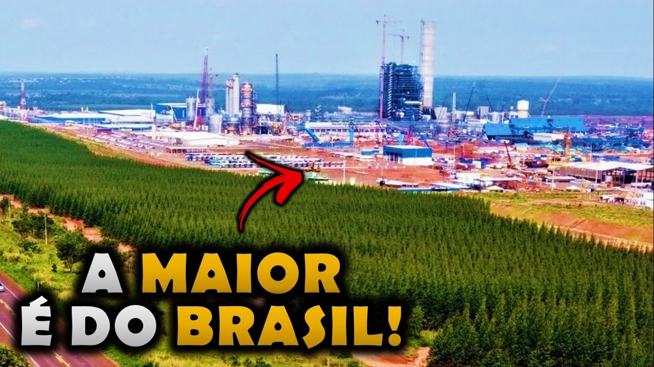 A MAIOR FÁBRICA DE CELULOSE DO MUNDO ACABA DE SER INAUGURADA!
