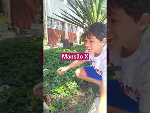 mansão X em São Paulo