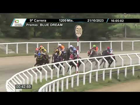 231021 C 09 - QUELUZ PIPO - HIPODROMO LAS PIEDRAS