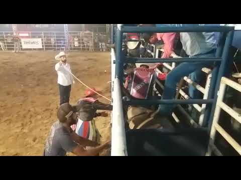 Rogério Ferreira #Piriquito - Finalista no Touro Docinho