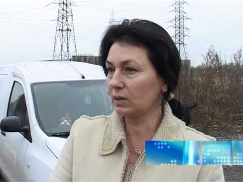 Știre Etv - Traiul din timpul iernii, pentru câini!