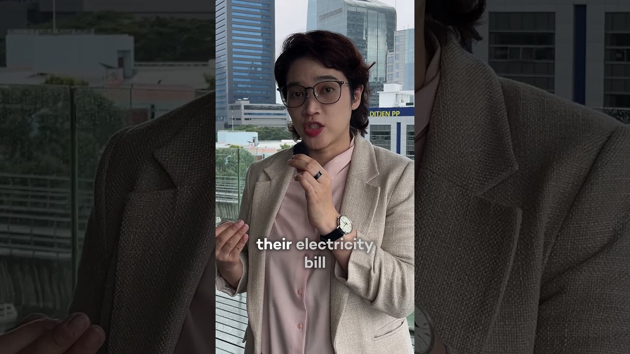 How do subsidies shape Indonesia’s energy landscape?